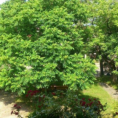 Marinas Guesthouse Kobuleti Exterior photo